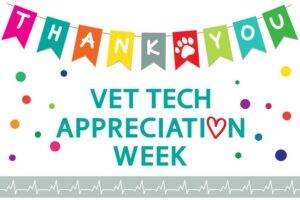 Vet Tech Week 2021: Celebrating the Unsung Heroes of Animal Care vet tech week 2021
